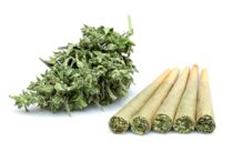 pre-roll-marijuana-joint-with-cannabis-buds-mastertokes